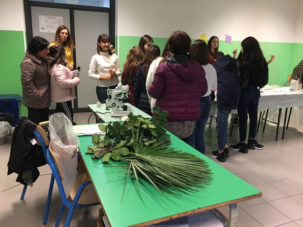 scuola