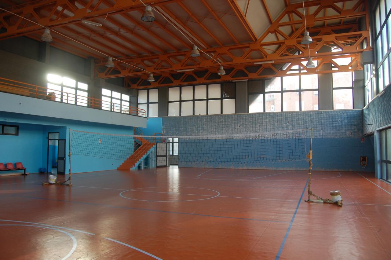 13 Palestra